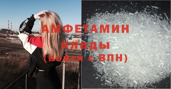 ECSTASY Алзамай
