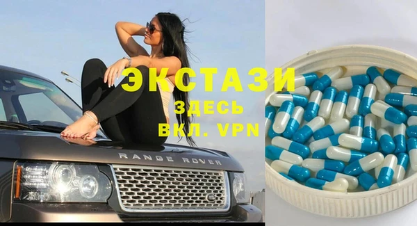 ECSTASY Алзамай